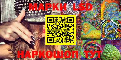 МДПВ Новозыбков