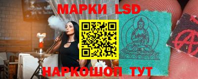 МДПВ Новозыбков