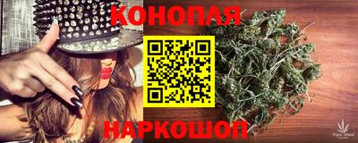 МДПВ Новозыбков