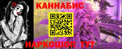 МДПВ Новозыбков
