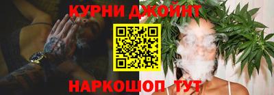 МДПВ Новозыбков