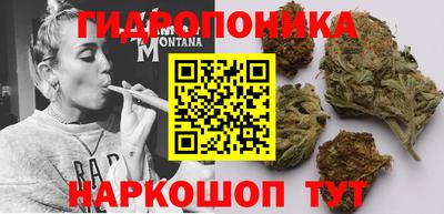 гашиш Новодвинск