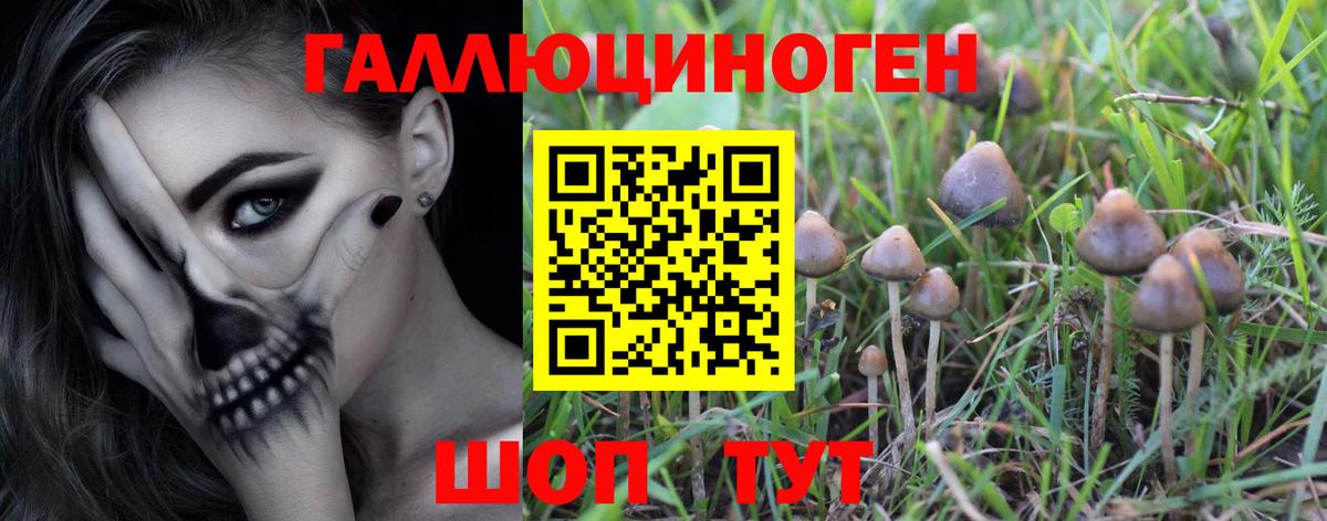 Галлюциногенные грибы прущие грибы  Вход с VPN  Татарск  Псилоцибиновые грибы ЛСД 